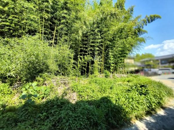 京都市右京区嵯峨釈迦堂門前南中院町の土地