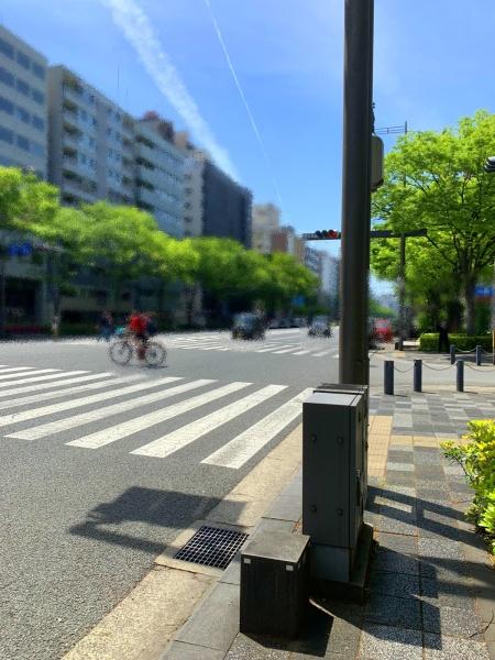 コスモシティ御池富小路