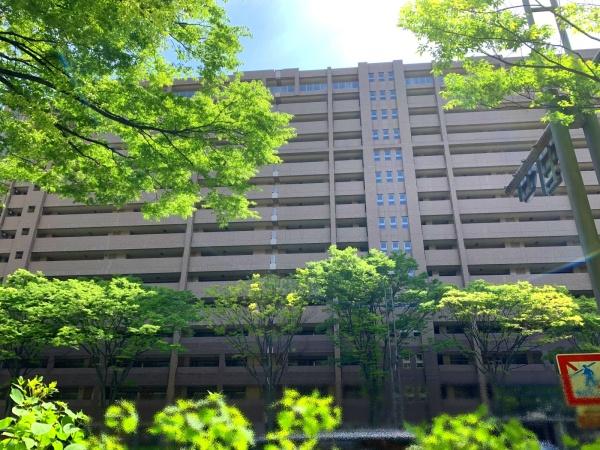 コスモシティ御池富小路