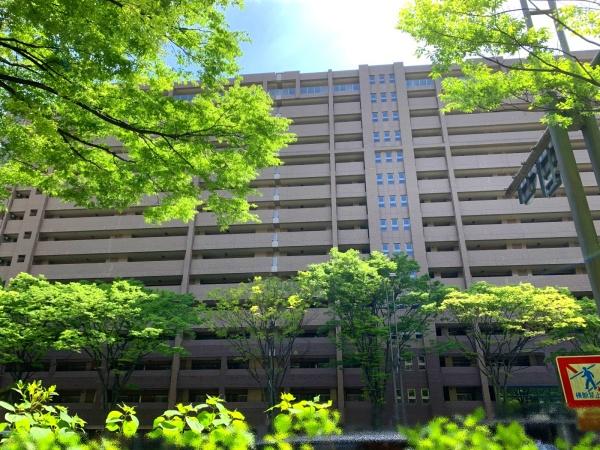コスモシティ御池富小路