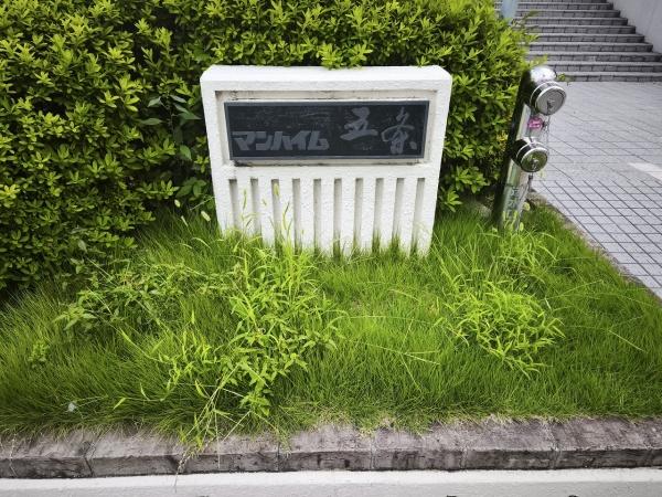 マンハイム五条