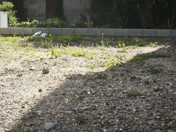 京都市南区久世上久世町の土地