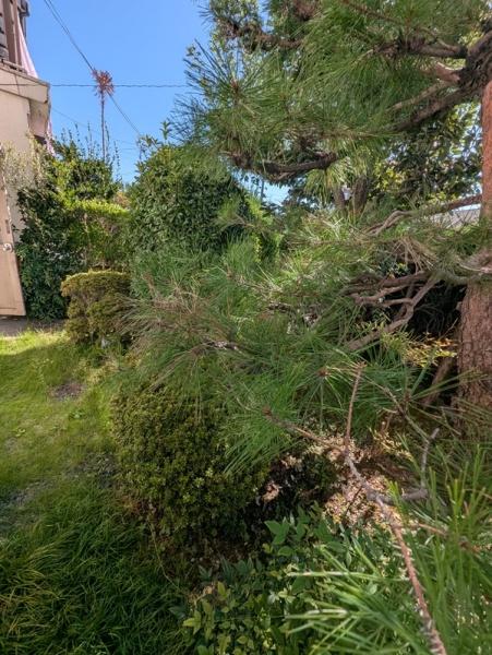 京都市伏見区久我東町　中古テラスハウス