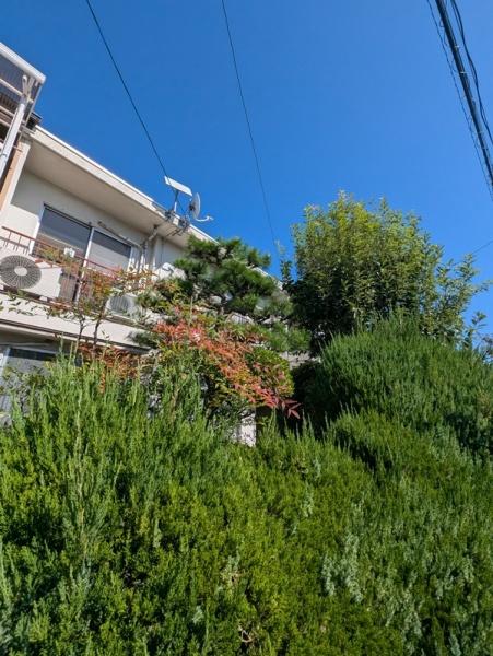 京都市伏見区久我東町の中古一戸建て