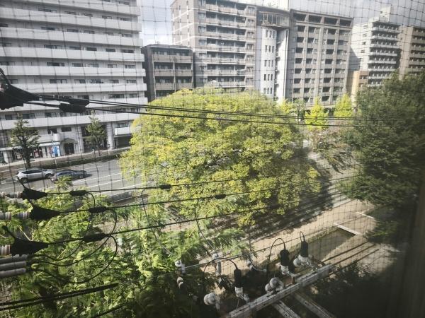 キャピタルコータス堀川
