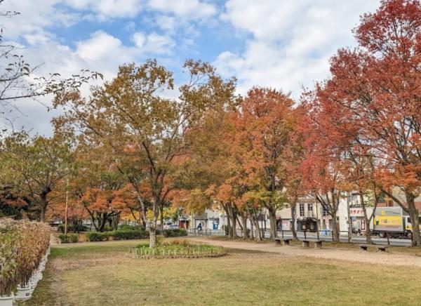 伏見区深草直違橋北1丁目　中古戸建(深草西浦南公園)