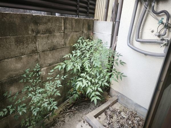 京都市右京区嵯峨野南浦町の中古一戸建て
