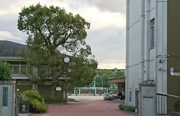 京都市右京区山ノ内苗町の土地(京都市立四条中学校)