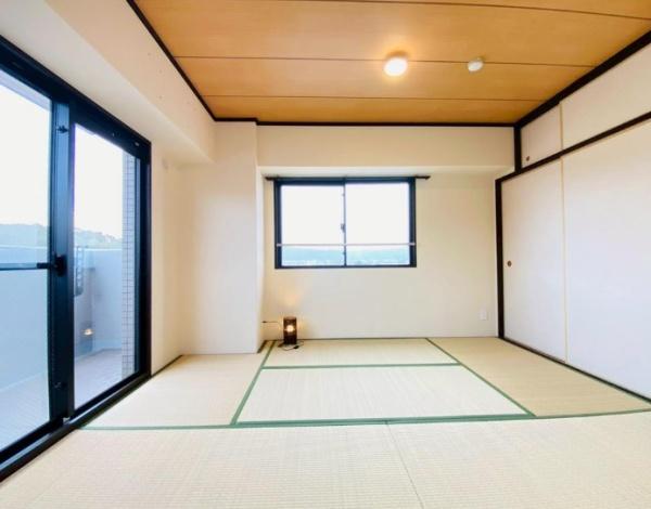 コスモ紫野