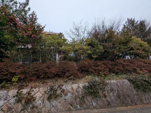 京都市北区大宮玄琢北東町の土地