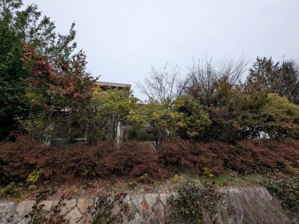 京都市北区大宮玄琢北東町の土地
