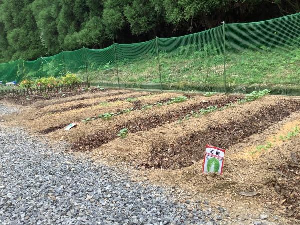 京都市右京区京北周山町河端の中古一戸建て