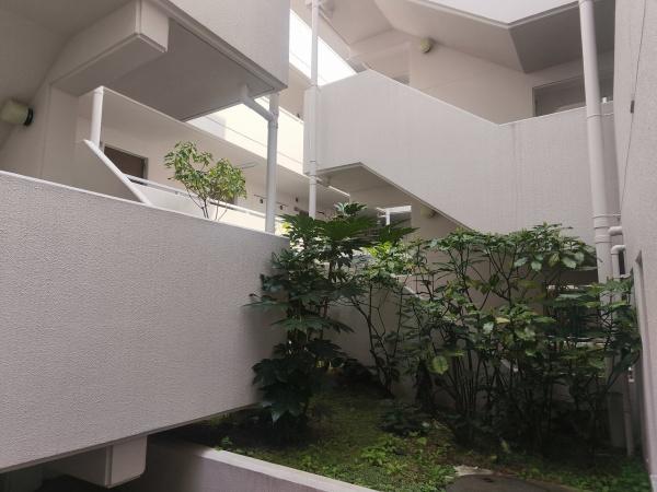 FLEX高野