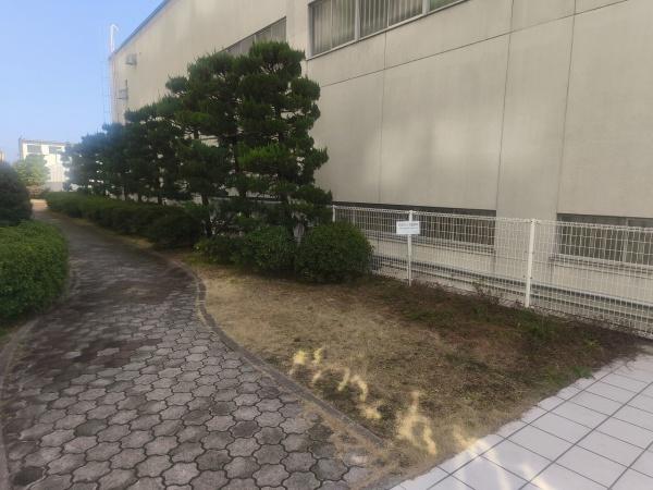 コスモワンダータウン