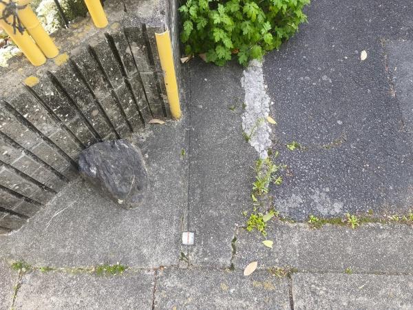 京都市右京区嵯峨柳田町の土地