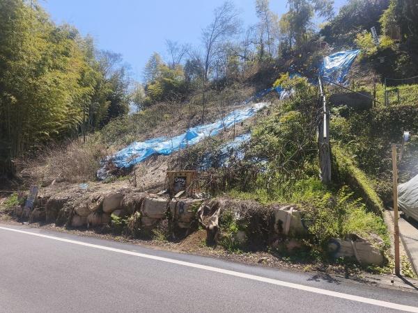 京都市伏見区桃山町遠山の土地