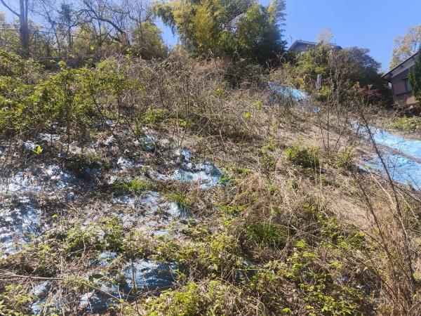 京都市伏見区桃山町遠山の土地