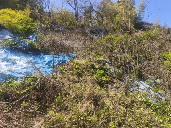 京都市伏見区桃山町遠山の土地