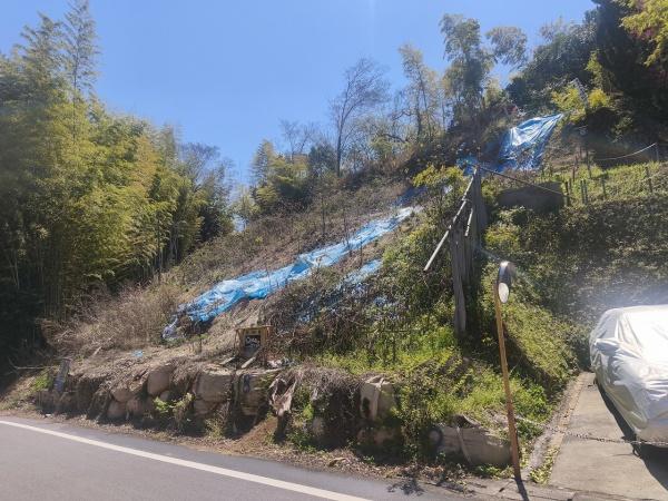 京都市伏見区桃山町遠山の土地