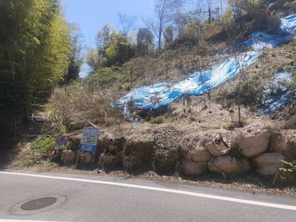 京都市伏見区桃山町遠山の土地