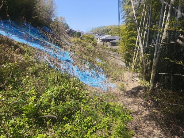 京都市伏見区桃山町遠山の土地
