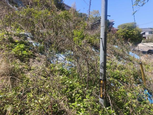 京都市伏見区桃山町遠山の土地