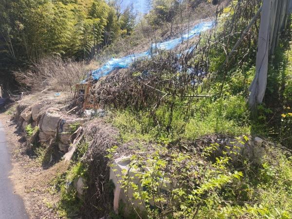 京都市伏見区桃山町遠山の土地