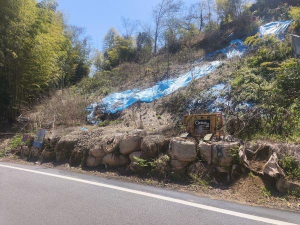 京都市伏見区桃山町遠山の土地