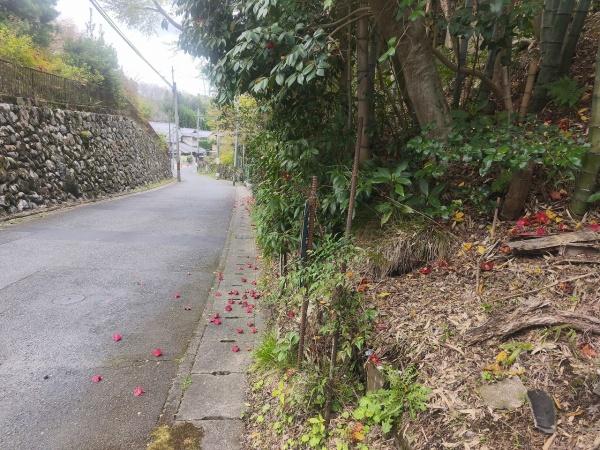 京都市北区大宮釈迦谷の土地