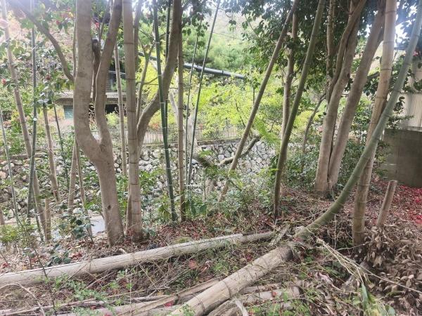 京都市北区大宮釈迦谷の土地