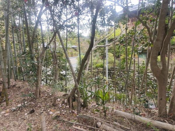 京都市北区大宮釈迦谷の土地