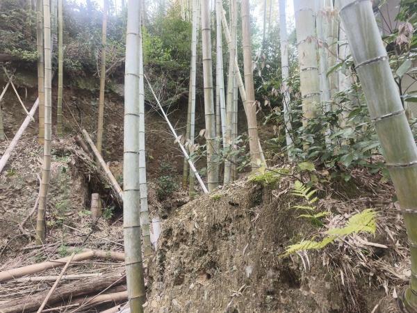 京都市北区大宮釈迦谷の土地