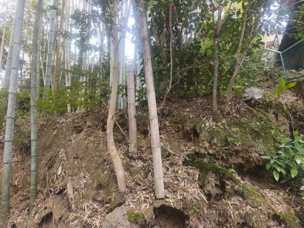 京都市北区大宮釈迦谷の土地