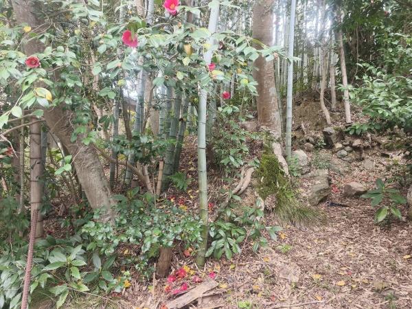 京都市北区大宮釈迦谷　建築条件無売土地