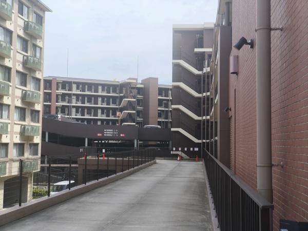 イニシア桂大橋