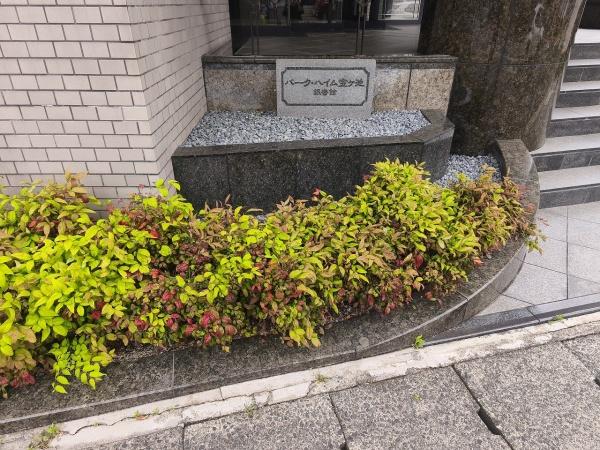 パーク・ハイム宝ヶ池銀杏館