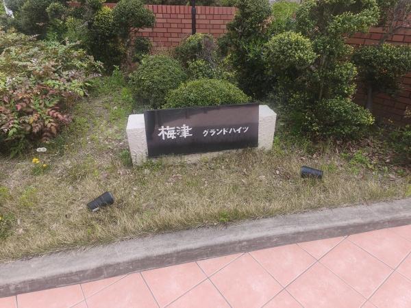 梅津グランドハイツ