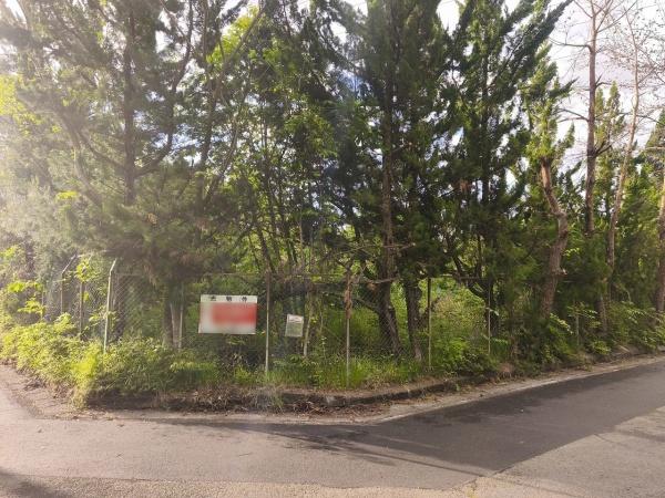 高島市マキノ町西浜の土地