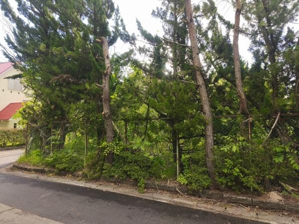 高島市マキノ町西浜の土地