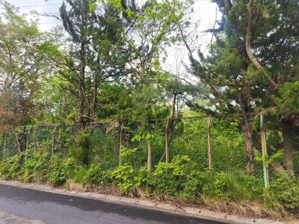 高島市マキノ町西浜の土地