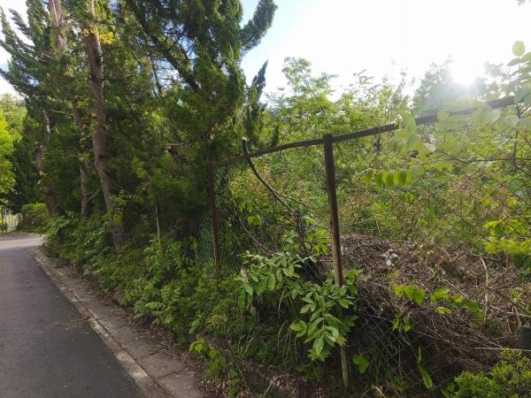 高島市マキノ町西浜の土地