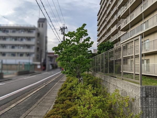 コープ野村京都南