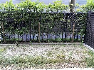 メイツ京都梅津
