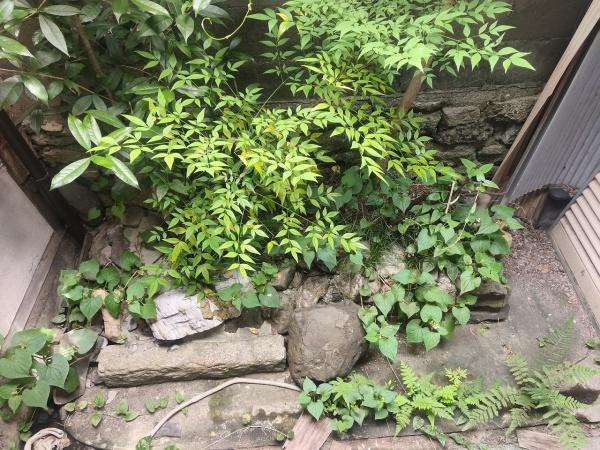 京都市伏見区深草加賀屋敷町の中古一戸建て