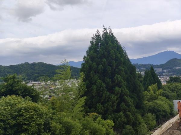 京都市北区西賀茂円峰の土地