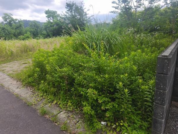 京都市北区西賀茂円峰の土地