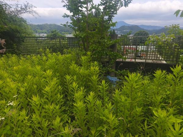 京都市北区西賀茂円峰の土地