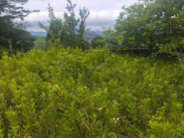 京都市北区西賀茂円峰の土地