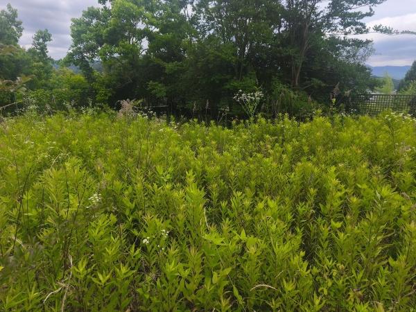 京都市北区西賀茂円峰の土地