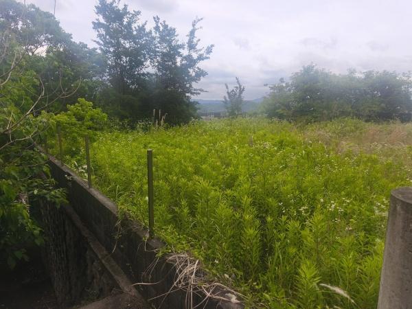 京都市北区西賀茂円峰の土地